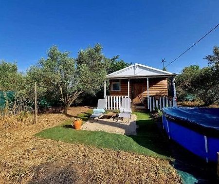 Un Chalet Dans Les Oliviers 3 Nuits Mini Нім Екстер'єр фото